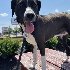 Fundraising Page: Millie Rees PACAlum